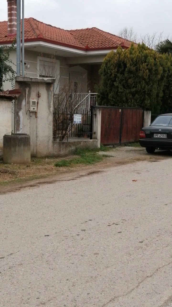 photo1