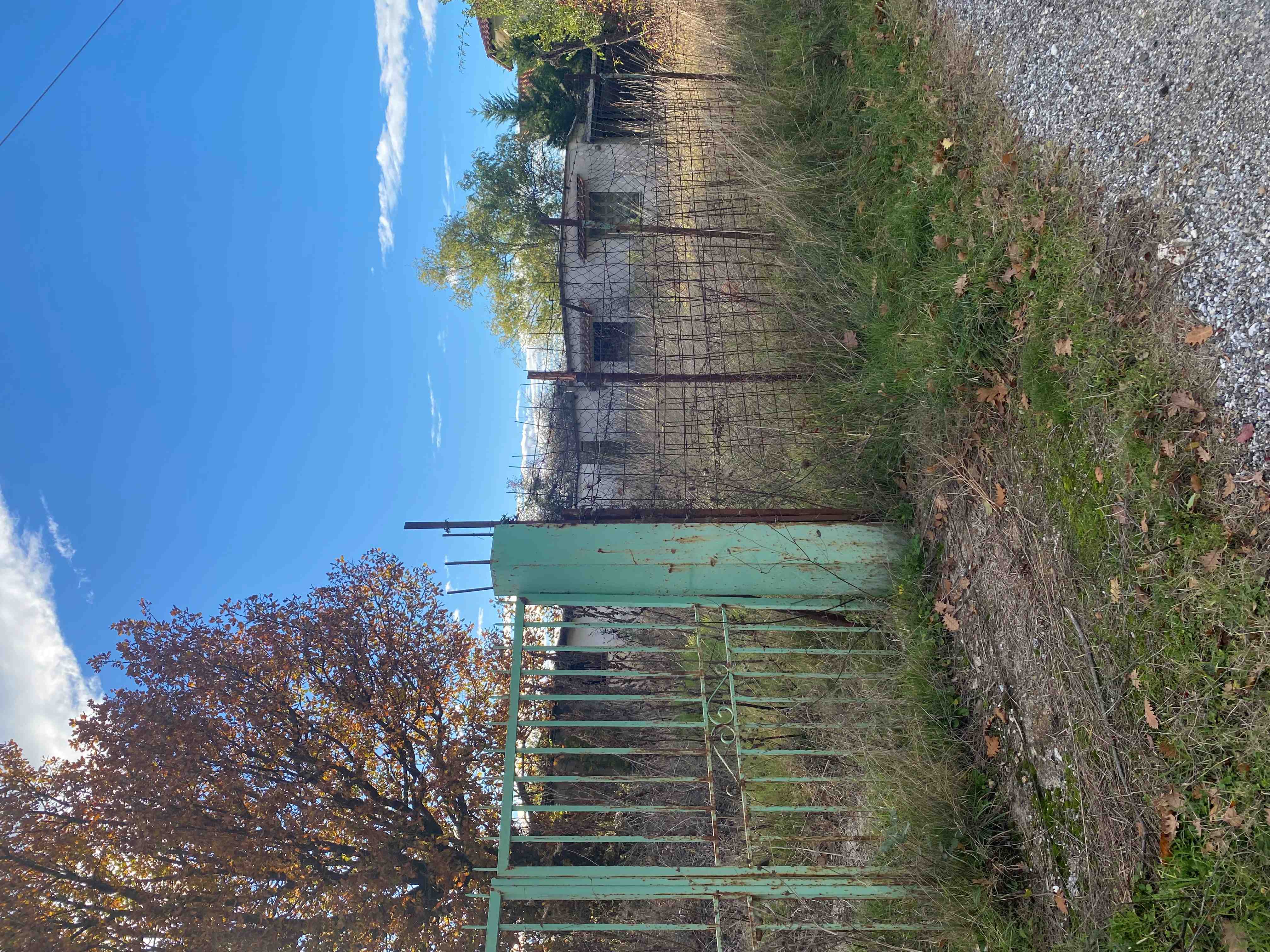 photo2