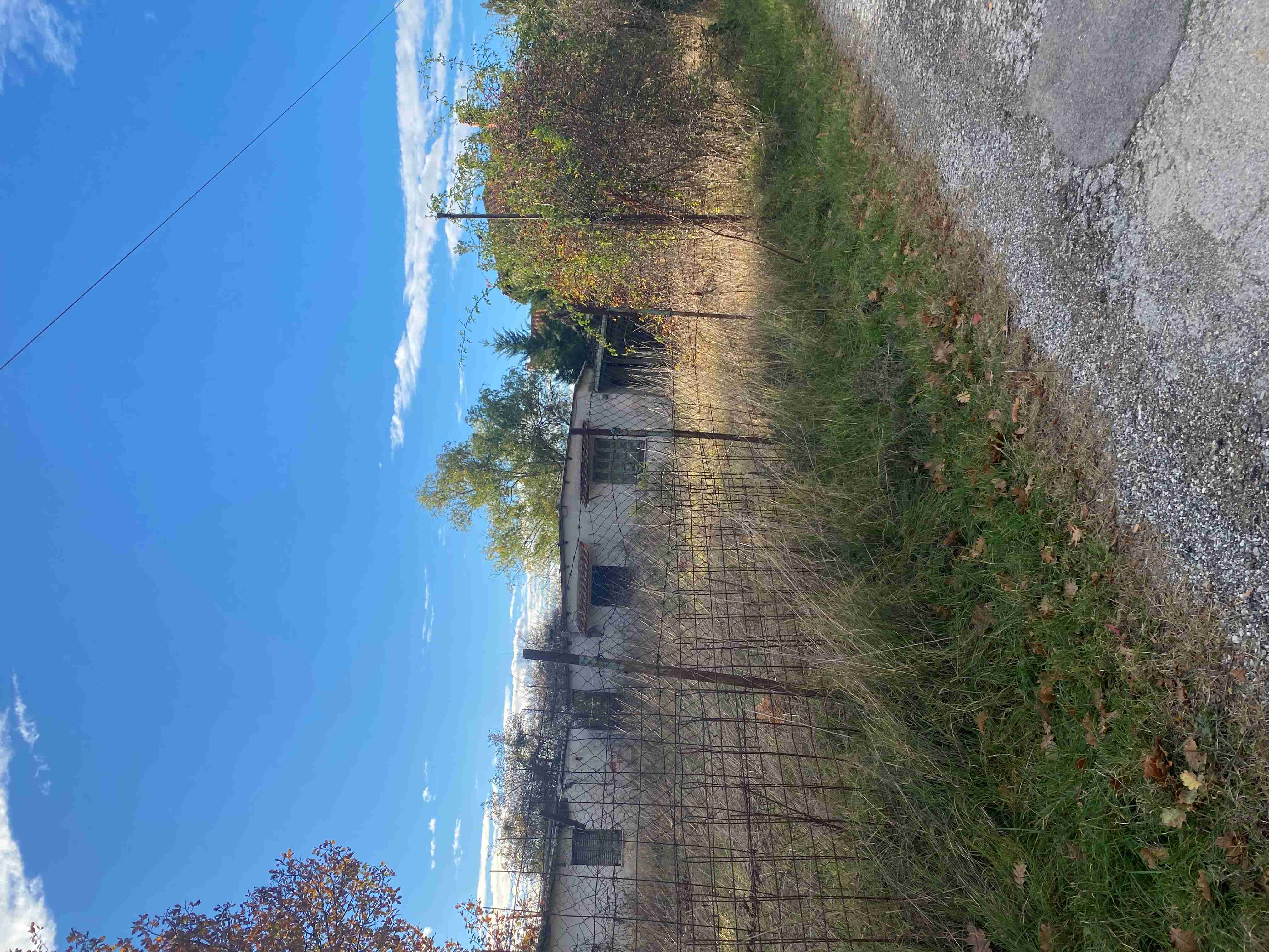 photo3