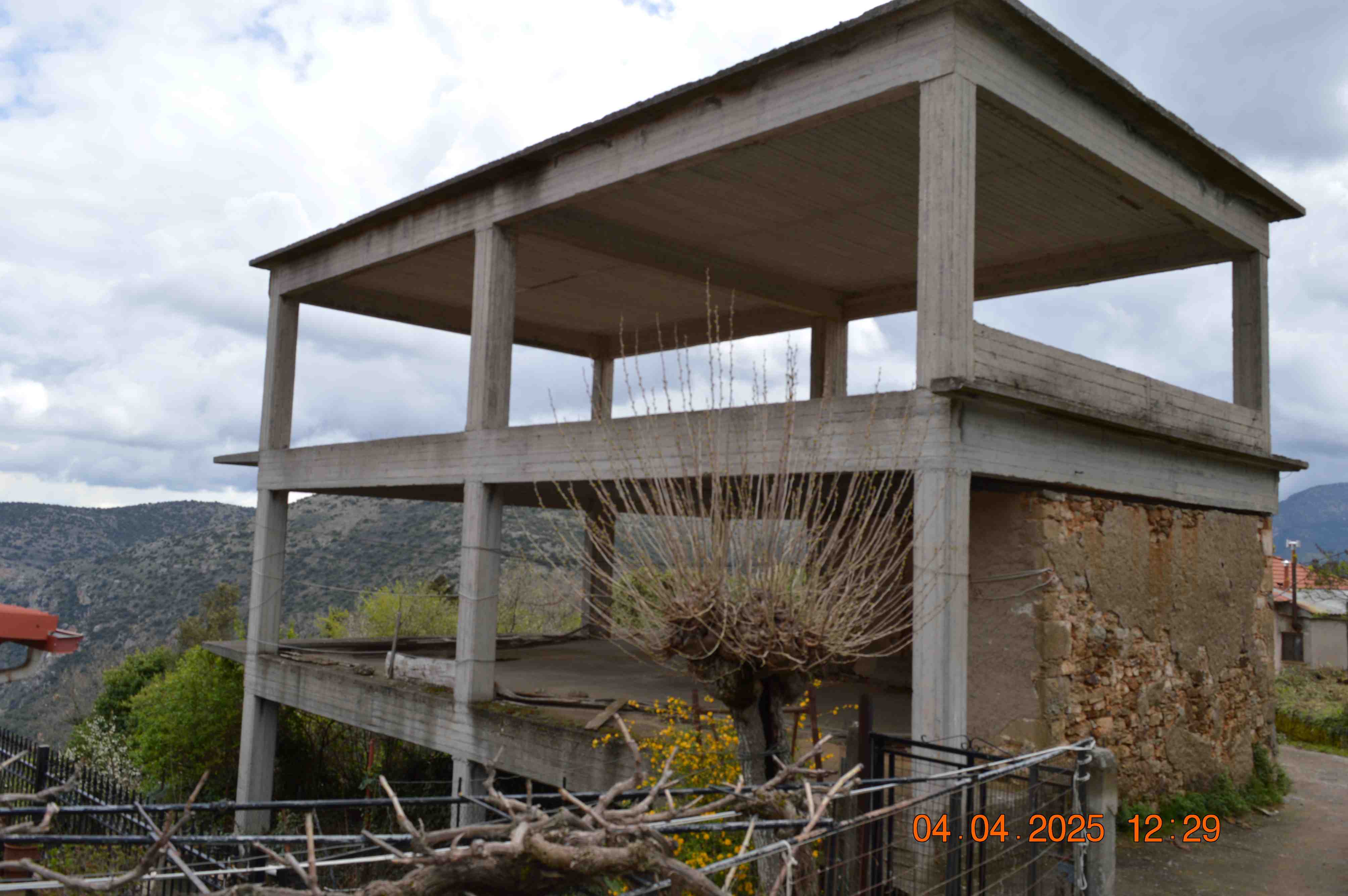 photo0