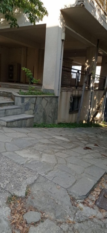 photo1