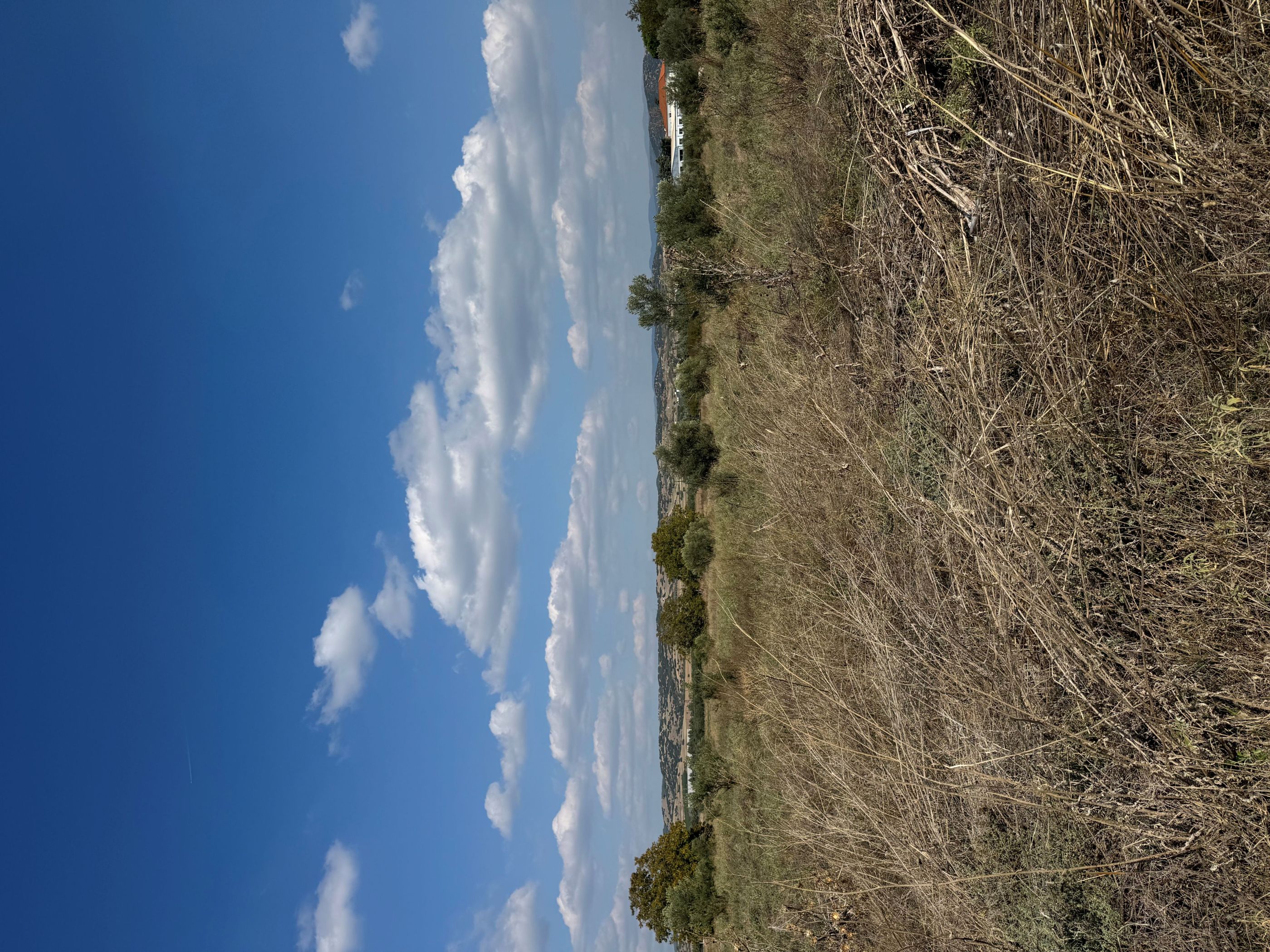 photo1