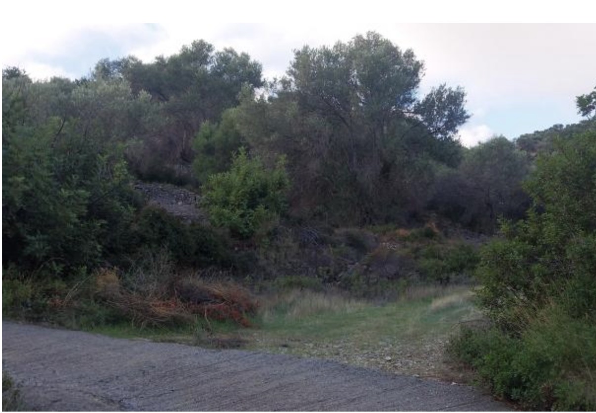 photo2