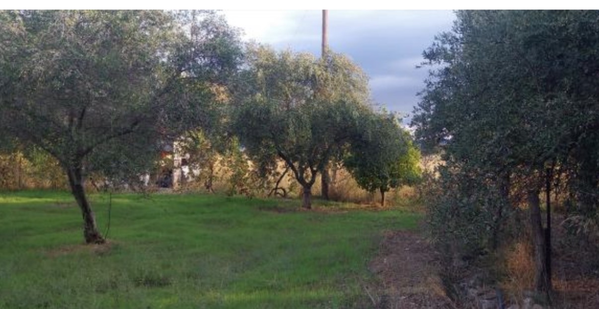 photo0