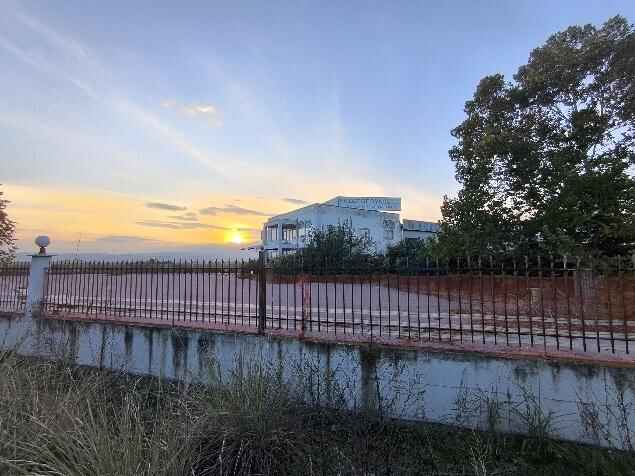 photo1