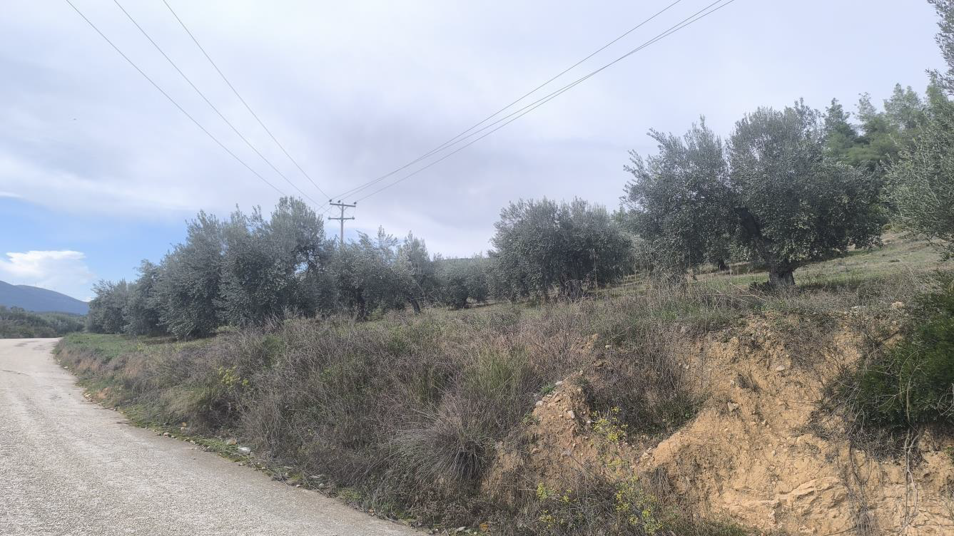 photo0