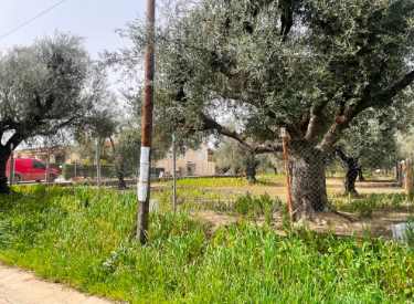 Οικόπεδο  σε πλειστηριασμό Δήμος Δυτικής Αχαΐας