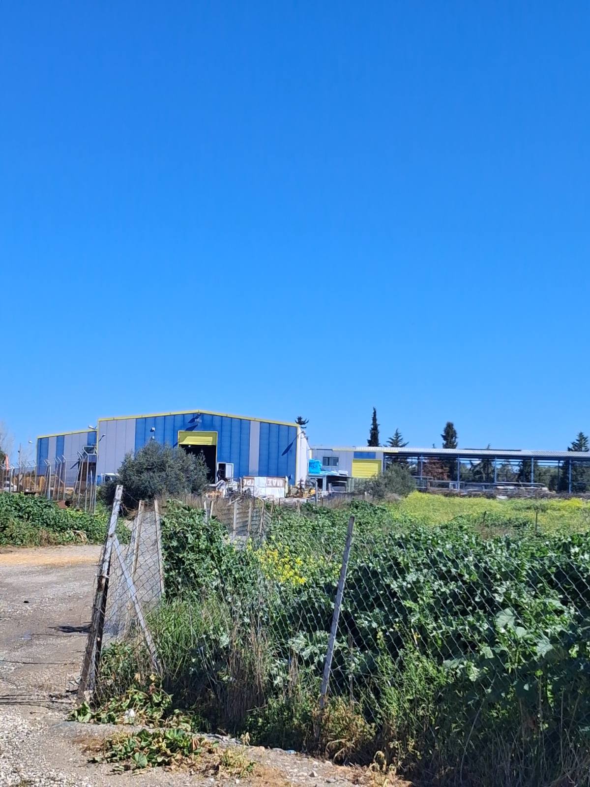 Βιομηχανικός / Βιοτεχνικός Χώρος  σε πλειστηριασμό Δήμος Τανάγρας
