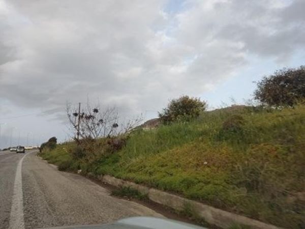 photo1