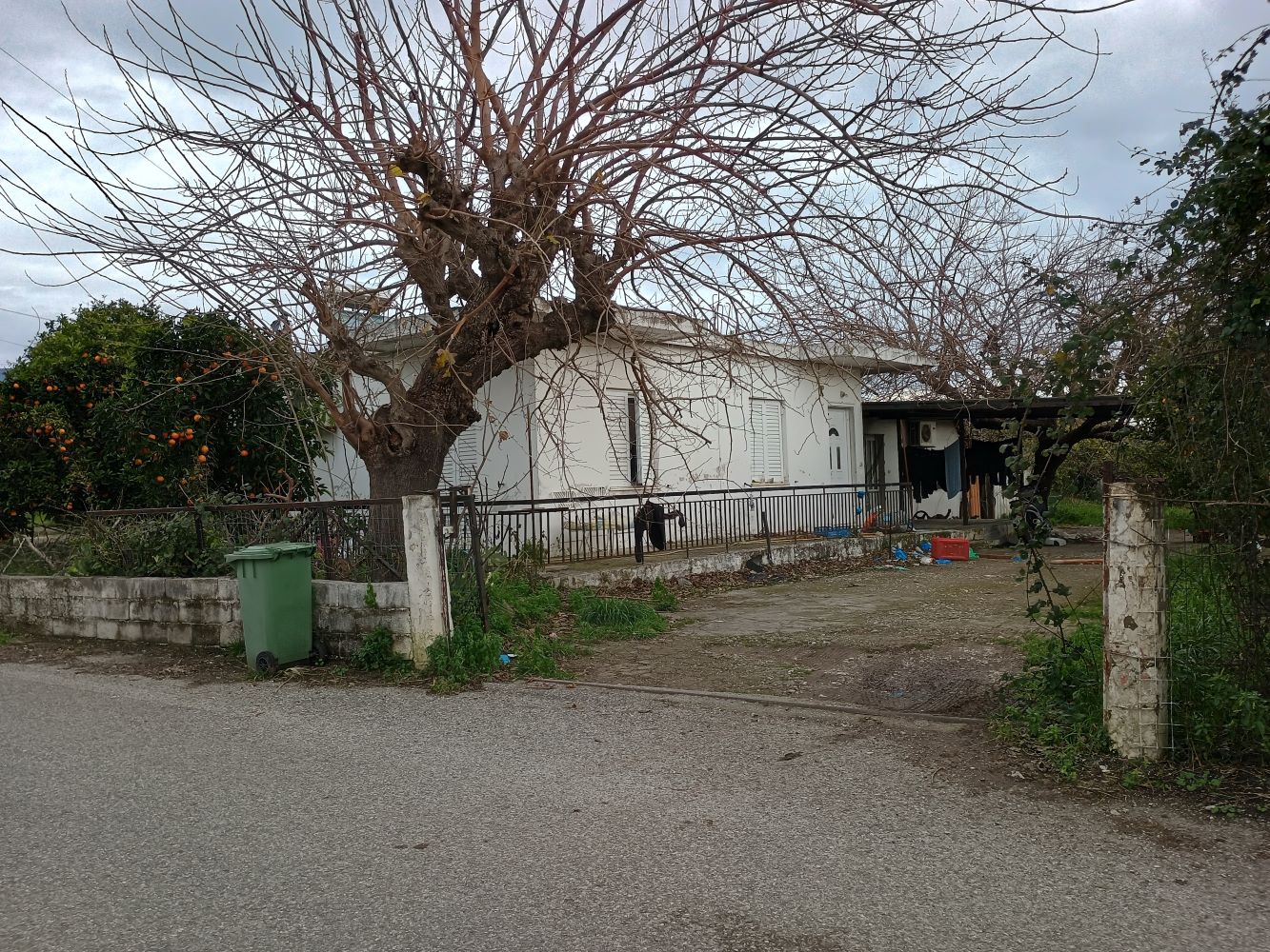 photo0