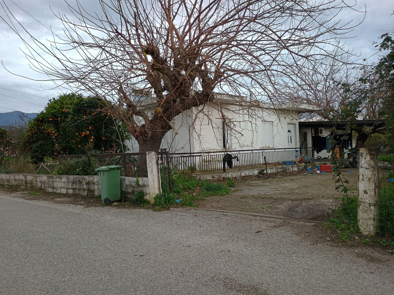 photo1