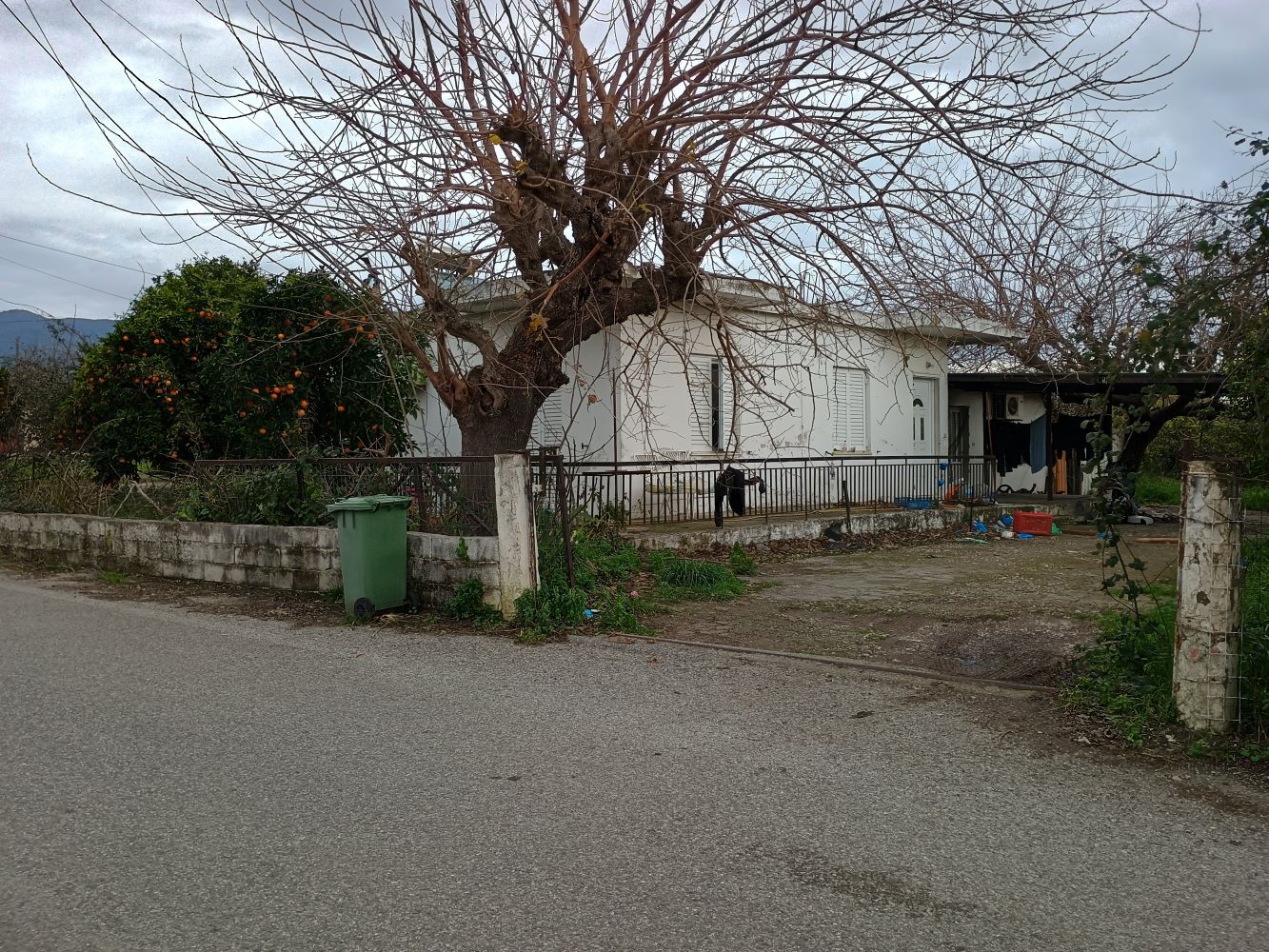 photo3