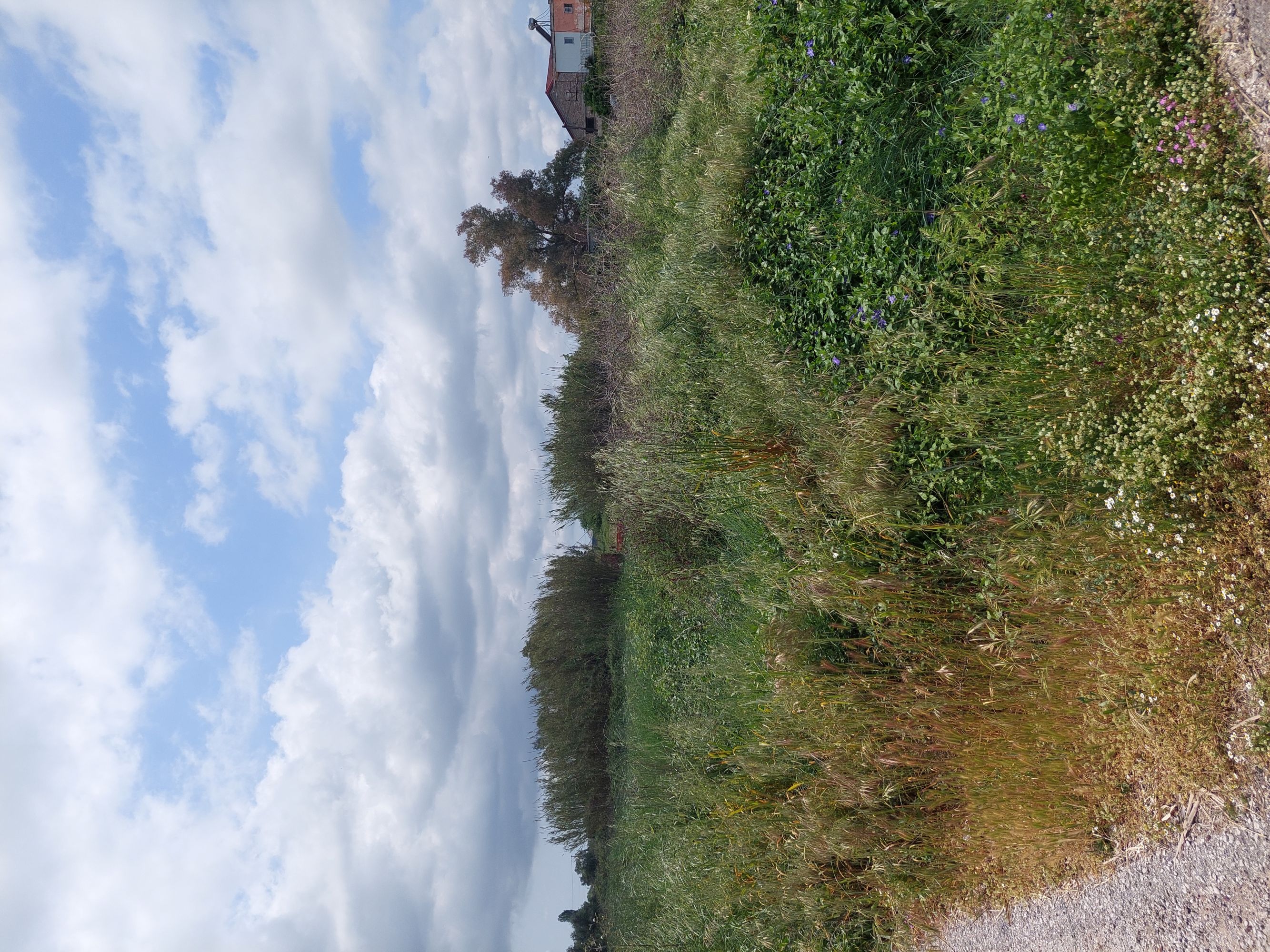 photo1