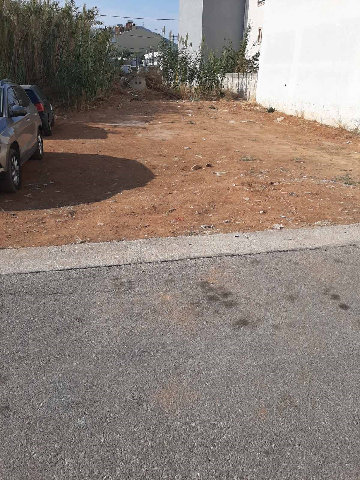 photo0