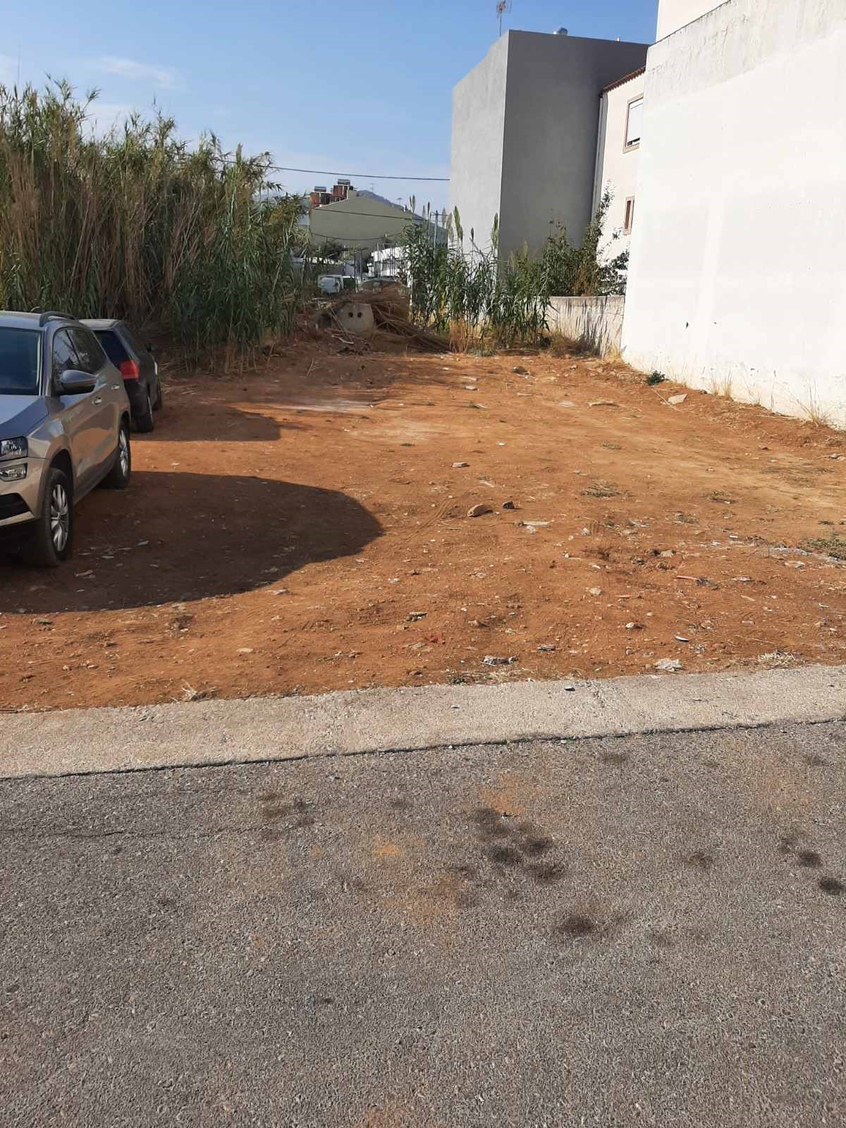 photo1