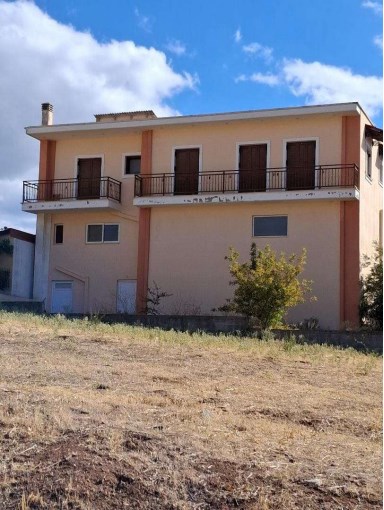 photo3