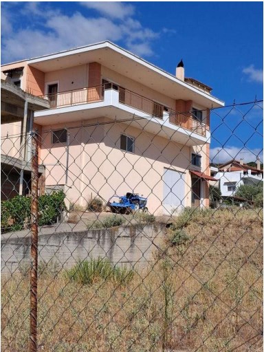 photo1