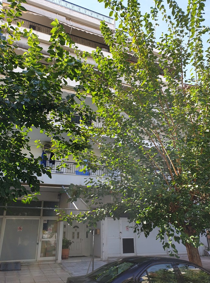photo1