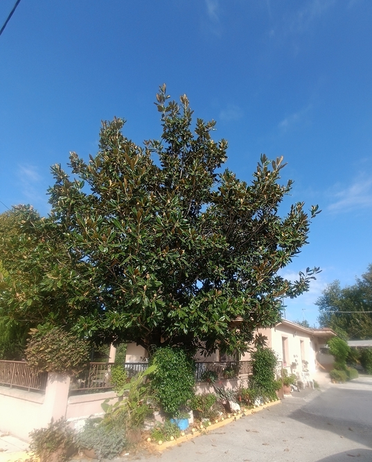 photo1