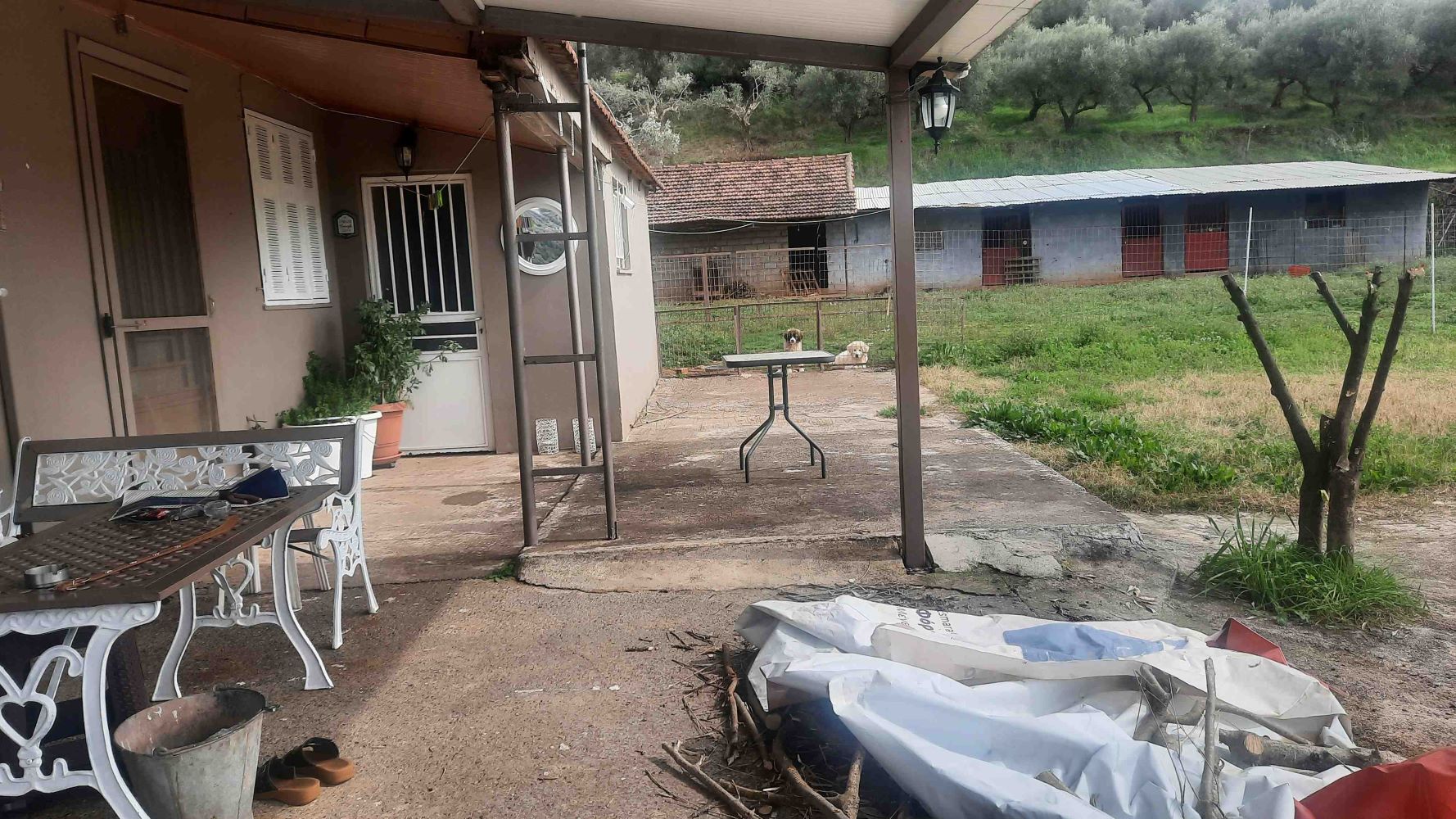 Αγροτεμάχιο με κτίσμα  σε πλειστηριασμό Δήμος Αγρινίου