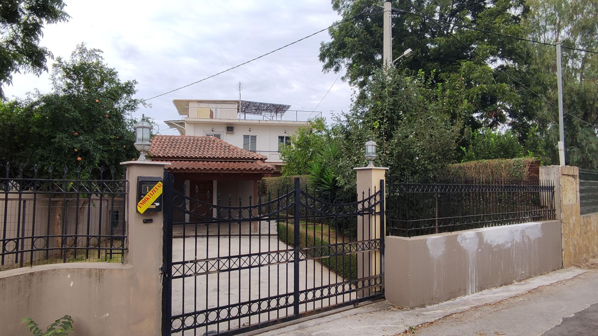 photo1