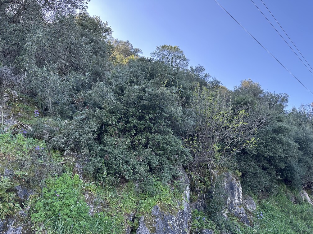 photo1