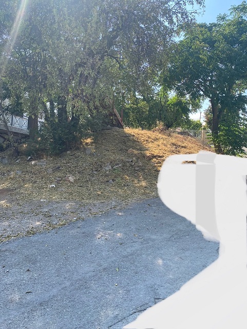 photo1