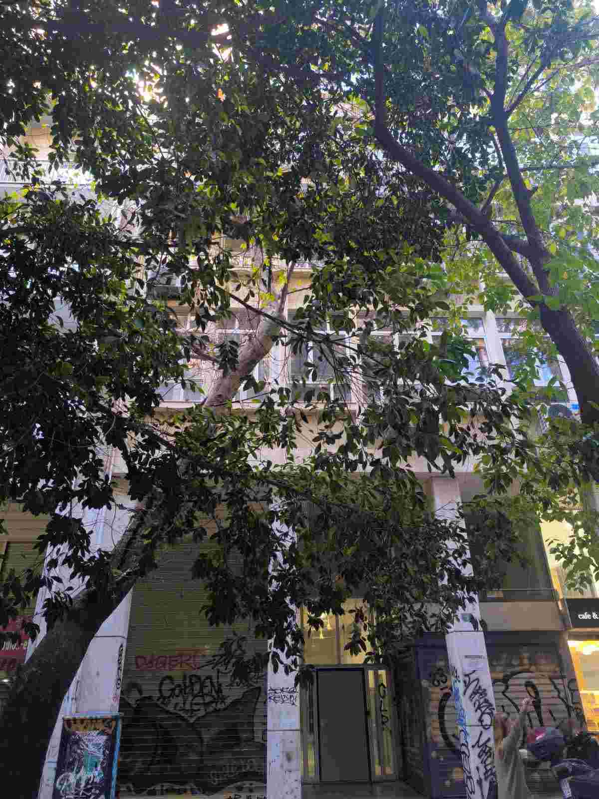 photo0