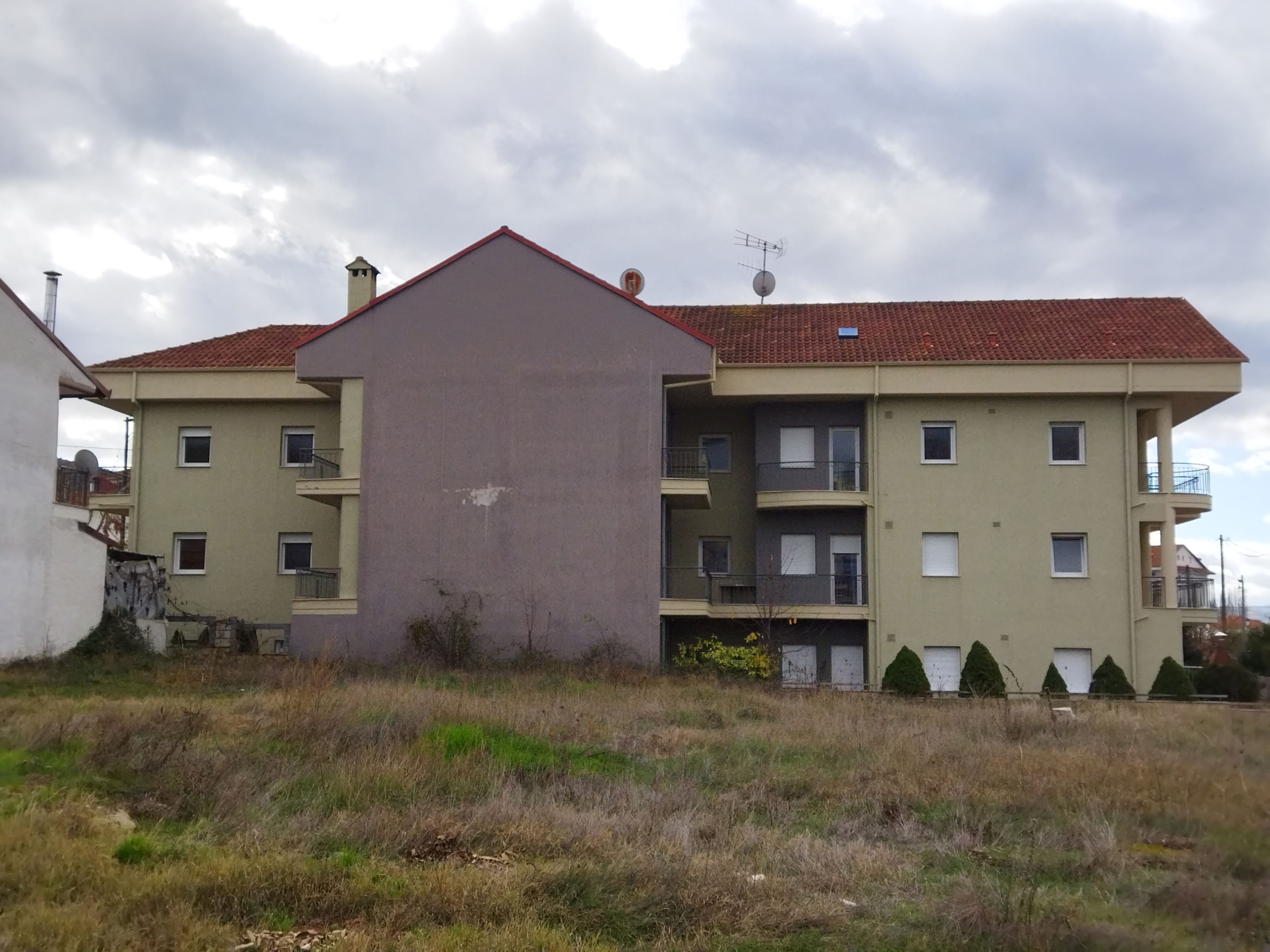 photo2