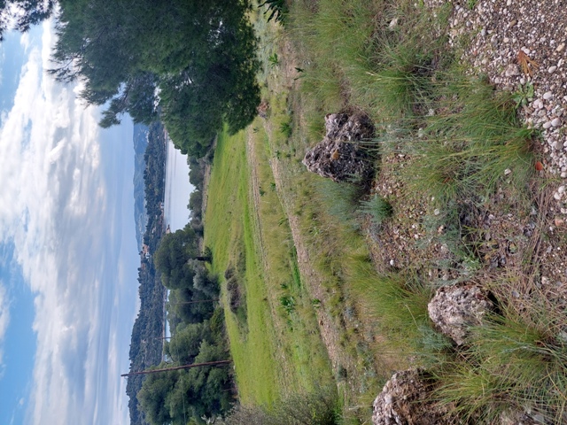 photo3