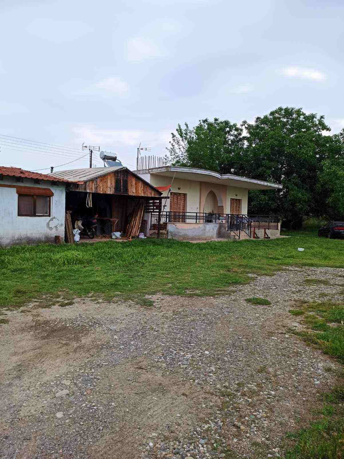 photo2