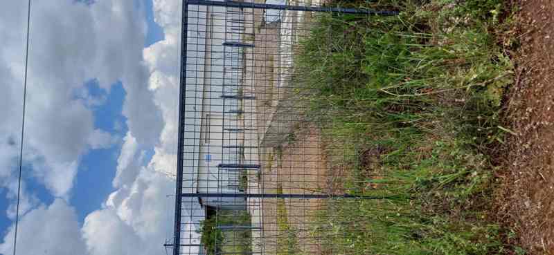 photo0