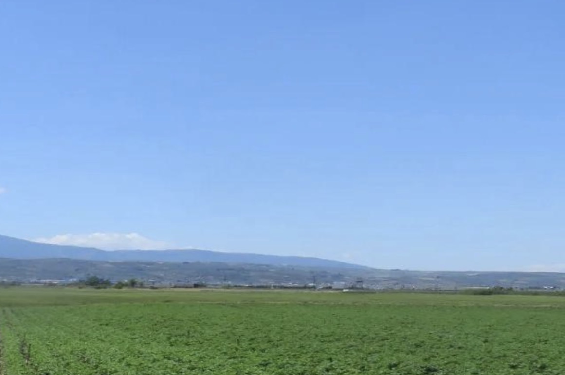 photo1