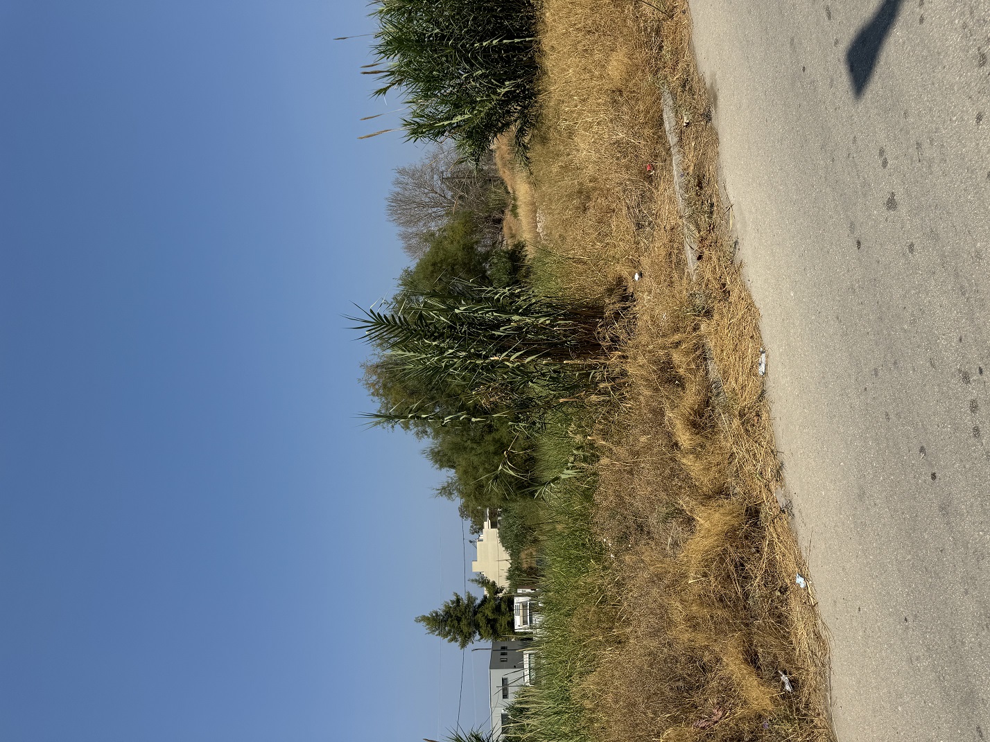 photo2