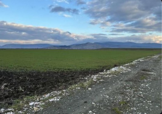 Αγροτεμάχιο  σε πλειστηριασμό Δήμος Δομοκού