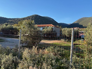photo1
