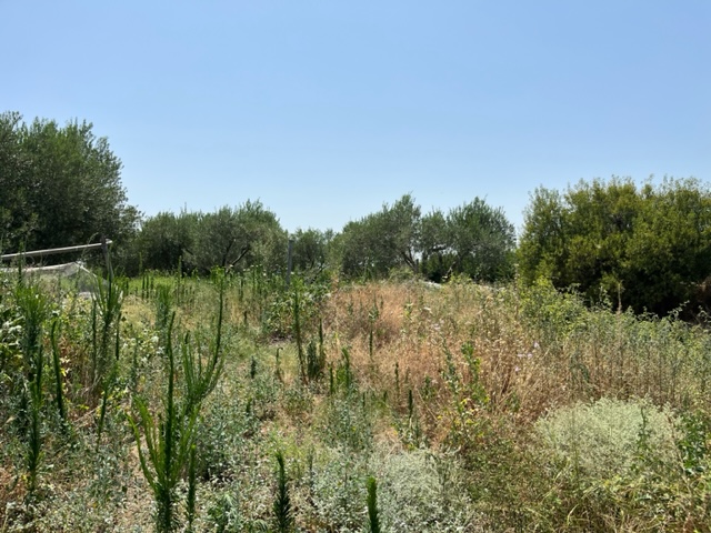 photo3