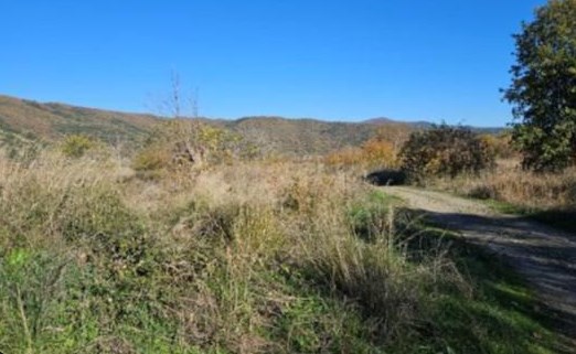 photo1
