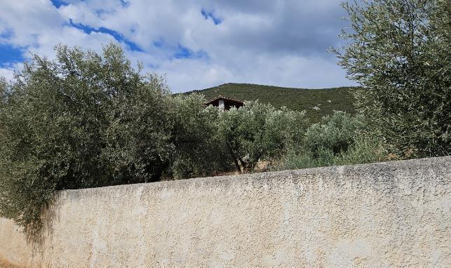 Κατοικία  σε πλειστηριασμό Δήμος Στυλίδος