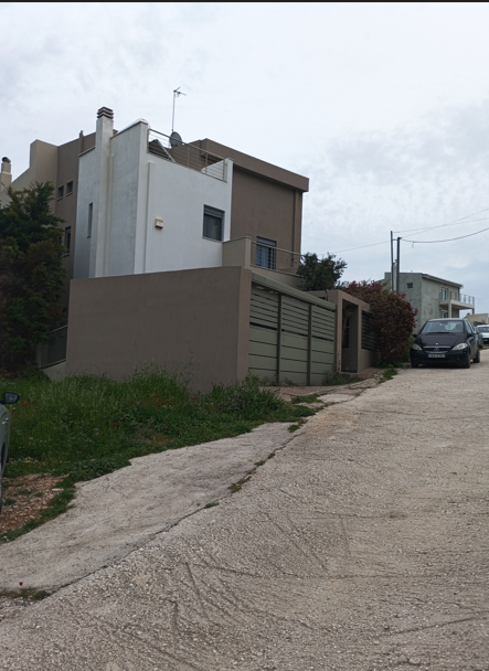 photo1