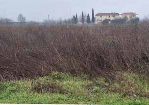 Αγροτεμάχιο 39 sq.m. σε πλειστηριασμό Municipality of Trikkaia