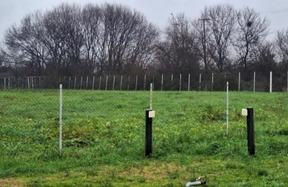 photo7