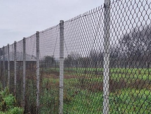 photo10