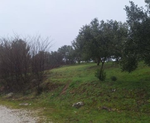 photo11