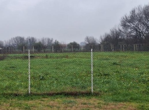 photo12