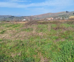 photo13
