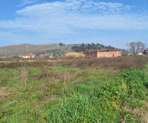 photo5