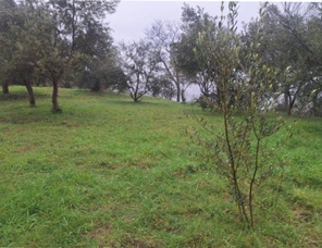photo8