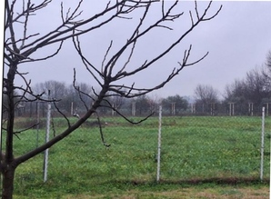 photo9