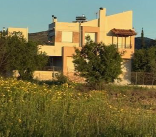 Αγροτεμάχιο με κτίσμα  σε πλειστηριασμό Δήμος Μαρκοπούλου Μεσογαίας